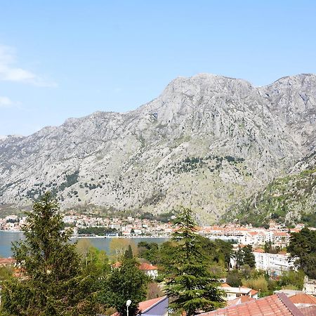 Apartment Baletic Kotor Ngoại thất bức ảnh