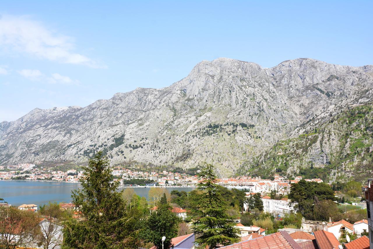 Apartment Baletic Kotor Ngoại thất bức ảnh