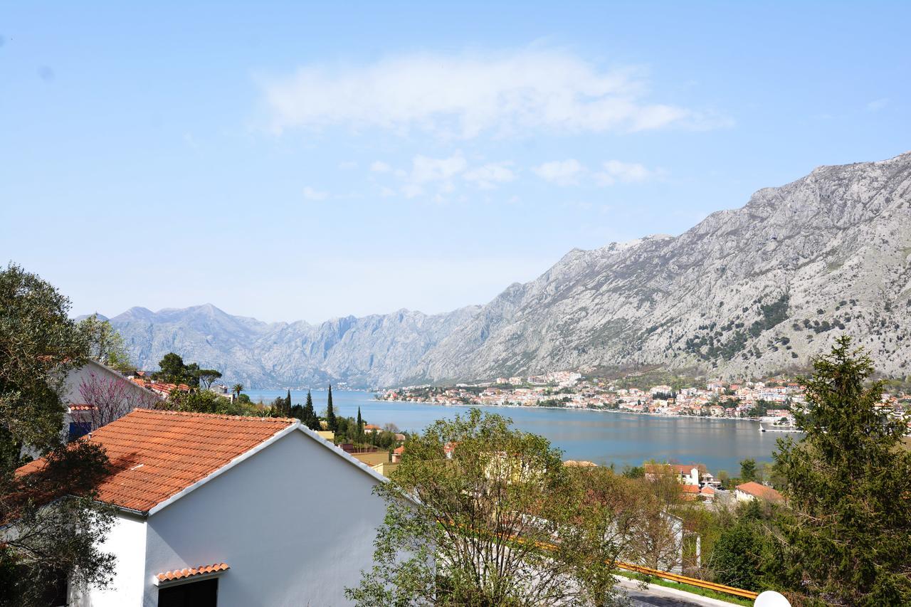 Apartment Baletic Kotor Ngoại thất bức ảnh