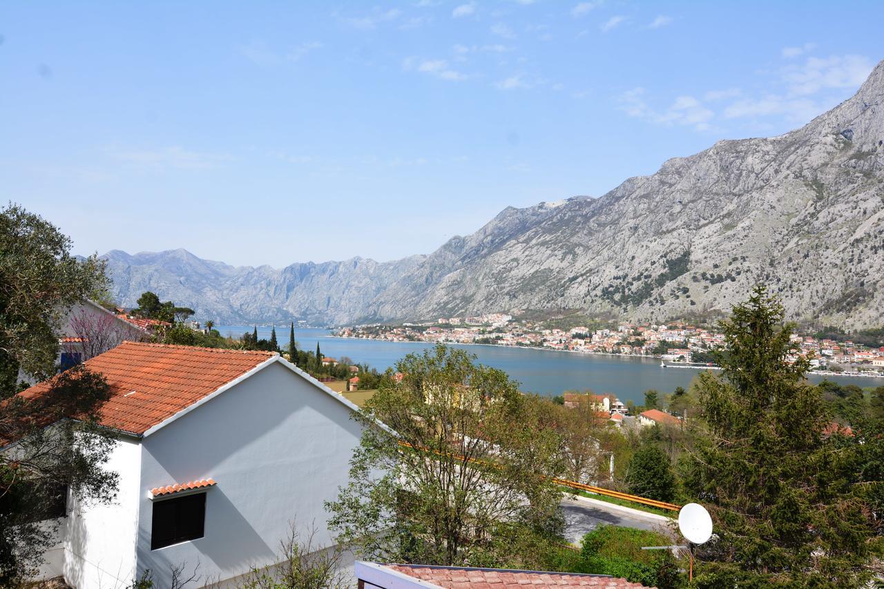 Apartment Baletic Kotor Ngoại thất bức ảnh